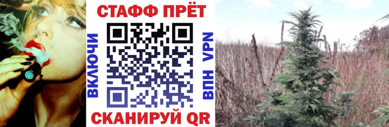 Магазины продажи наркотиков Верещагино ГАШИШ COCAIN Мефедрон СОЛЬ АМФЕТАМИН Псилоцибиновые грибы Канабис