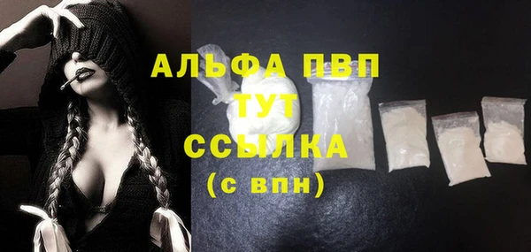 ГАЛЛЮЦИНОГЕННЫЕ ГРИБЫ Белокуриха