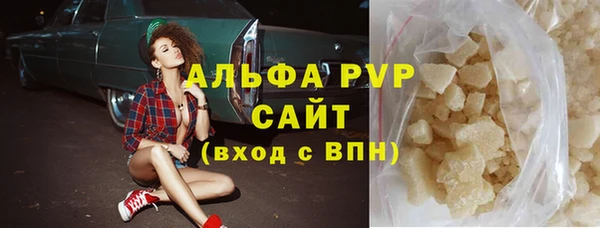 индика Белоозёрский