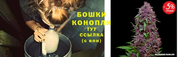 индика Белоозёрский